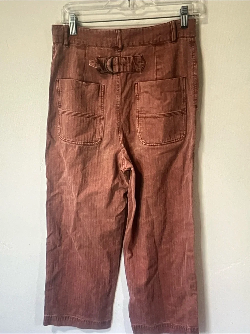 Free People Wide Leg Pants in Rust